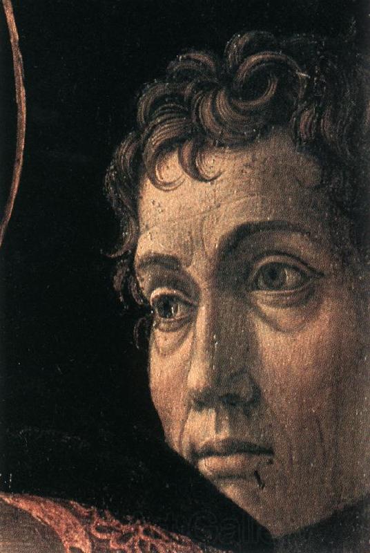 MANTEGNA, Andrea The Madonna of the Cherubim sg